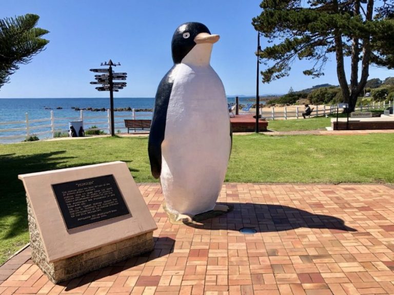 Suggested-Itineraries-The-Big-Penguin